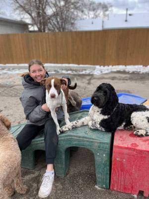 foster dogs with staff member