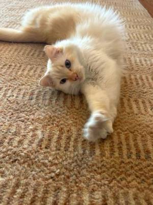 IMG_3753_Medium_original